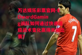 万达娱乐彩票官网-EDwardGaming战队如何通过快速适应战术变化赢得关键比赛？